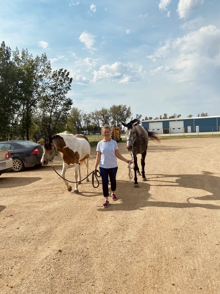 ThatPinto's tweet image. Mother goose walking the dogs