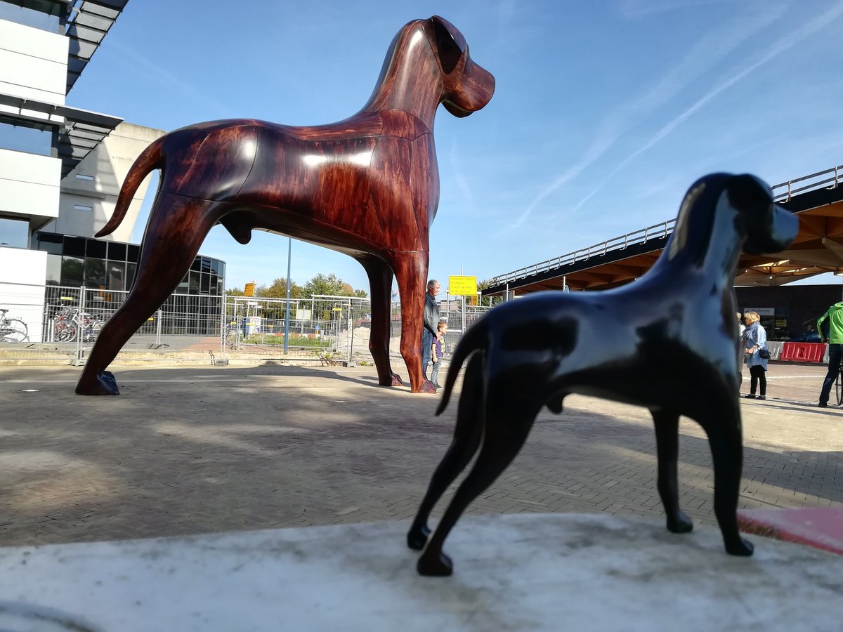 drieszwikker0's tweet photo. Mannes is back in town, maar is hij nu ook vader geworden? #Assen #Mannes #nsstation https://t.co/Jg00yxJOVs