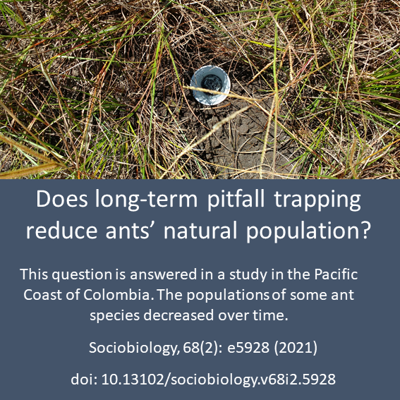 Sociobiology12's tweet photo. This article shows that, for ants, long-term pitfall trapping ended, on average, reducing all ants' populations in between -3.8 and -4.1%, and Ectatomma ruidum between -4.7 and -5.1%. 
https://t.co/pJVdBCT0ym https://t.co/g7eGrBpVV5