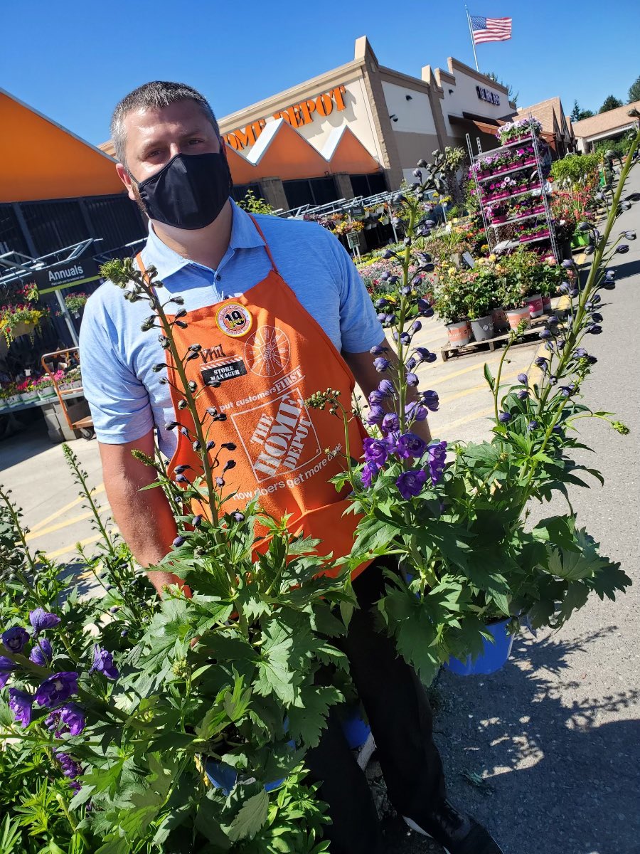 Bringing their unrivaled height and wide array of stunning colors including true blue, purple, and pink. The Delphinium is a famed Summer garden staple #PhactswithPhil #Oldglory #D52Elite💎