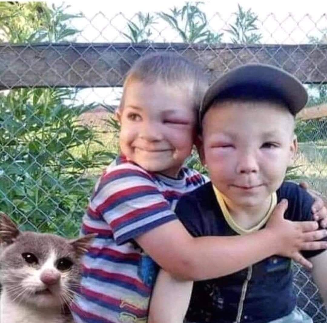 Bu üçü arı kovanından bal almaya çalışmış😻👶👶💙🌿💙🌿