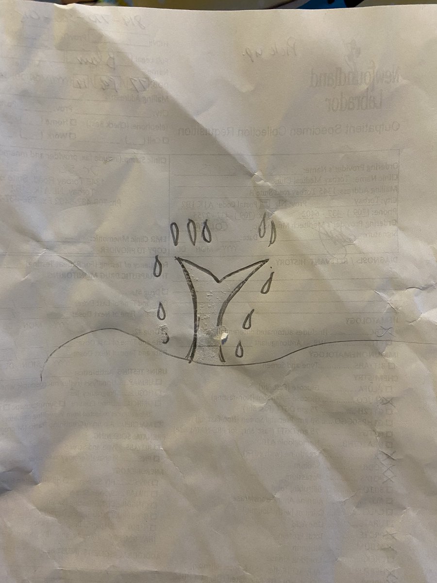 HDDawe's tweet image. Testing out her mom’s new toy for the classroom! First design was a whale’s tail whale’s tail! #3Dprinting #3Dpen #designandcreate #whalestail @MmeLindsay