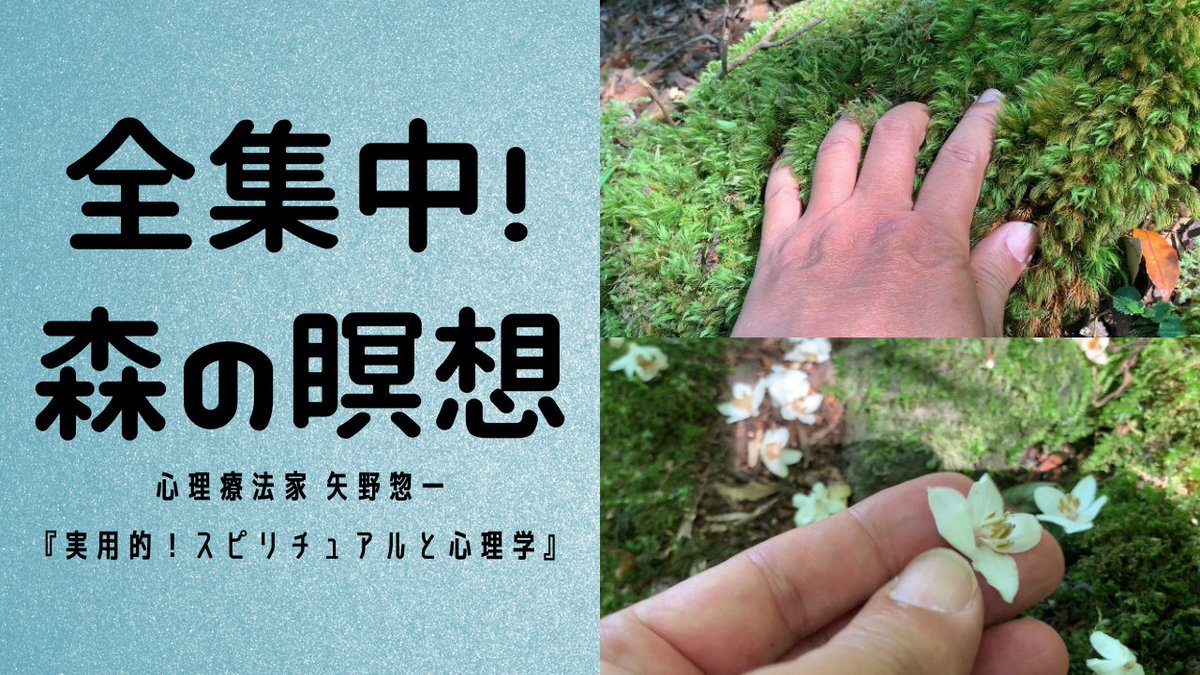 夏期間限定☆メーカー価格より68%OFF!☆ 幸せと成功の流れにのる4Step