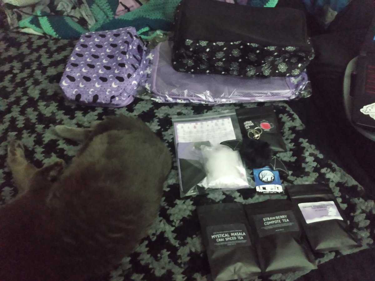 LadyPanda13's tweet photo. Latest delivery from #spookyboxclub. I really wanted that black bag out of that 3 piece set. I can't wait to travel. #CatsOfTwitter #Caturday #CatsOnTwitter #Vampire #vampires #goth #gothic #spooky #tea https://t.co/GM3yBBnNXM