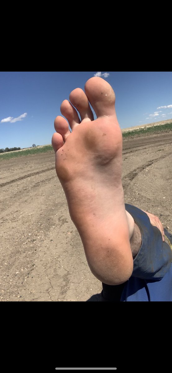 MasterWill98's tweet photo. My big, working feet would destroy your nose with their smell. Beg me to sniff my feet.

#stinkyfeet #size15 #bigfeet #cashmaster #footmaster #workingfeet #domination #foottoy #macrofeet #giantfeet https://t.co/QByjhFogN8