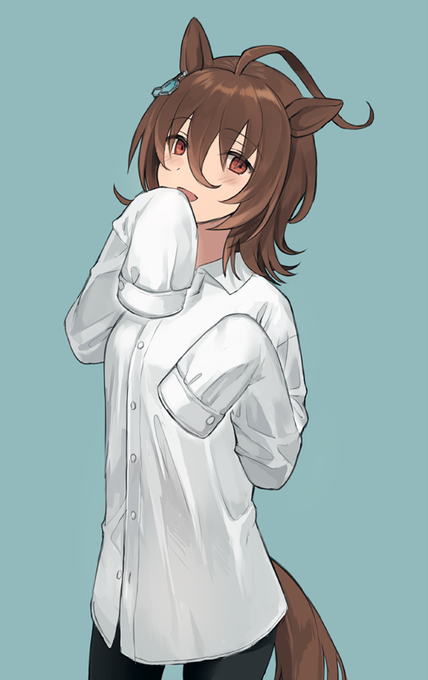 モルシャツ概念好き 