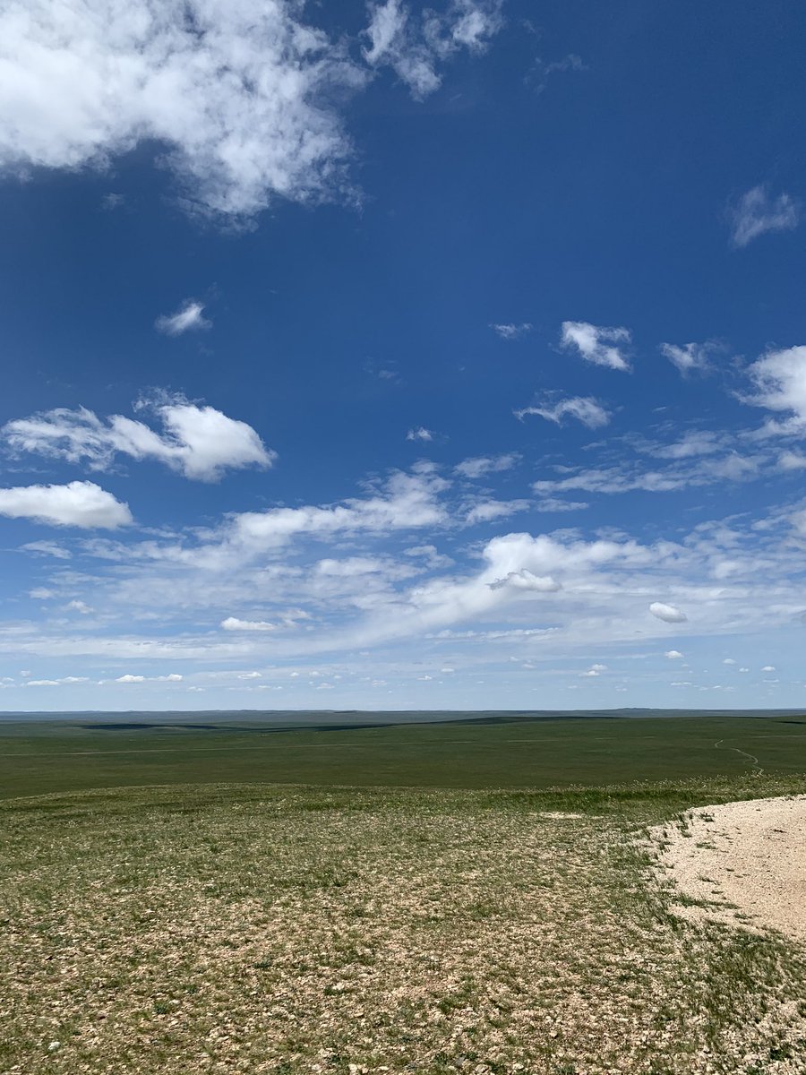 Өглөөний мэнд