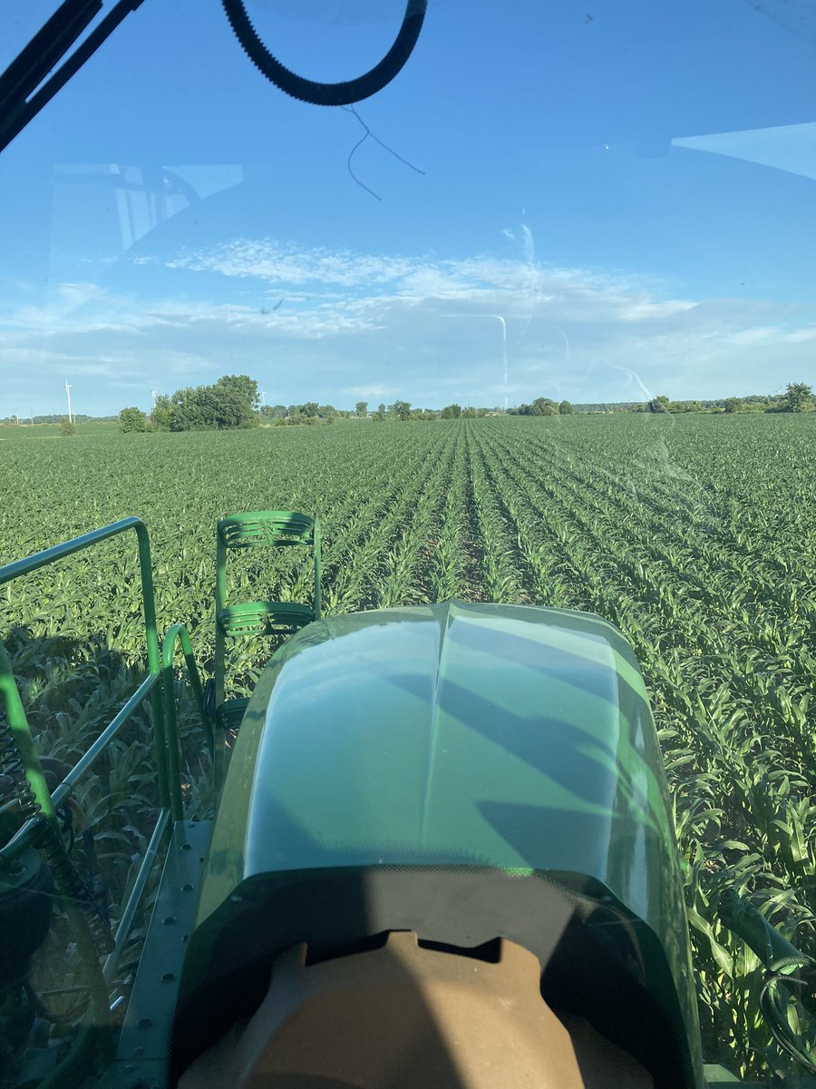 JohnNooyen1's tweet photo. Corn looking good in south CK y dropping #EZdrops https://t.co/yT5ZehW1jQ