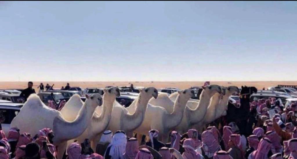 الصوره تتكلم👌