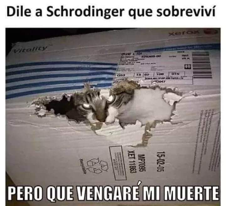 miunicoheredero's tweet photo. 😁 https://t.co/jPOtfUrDKn