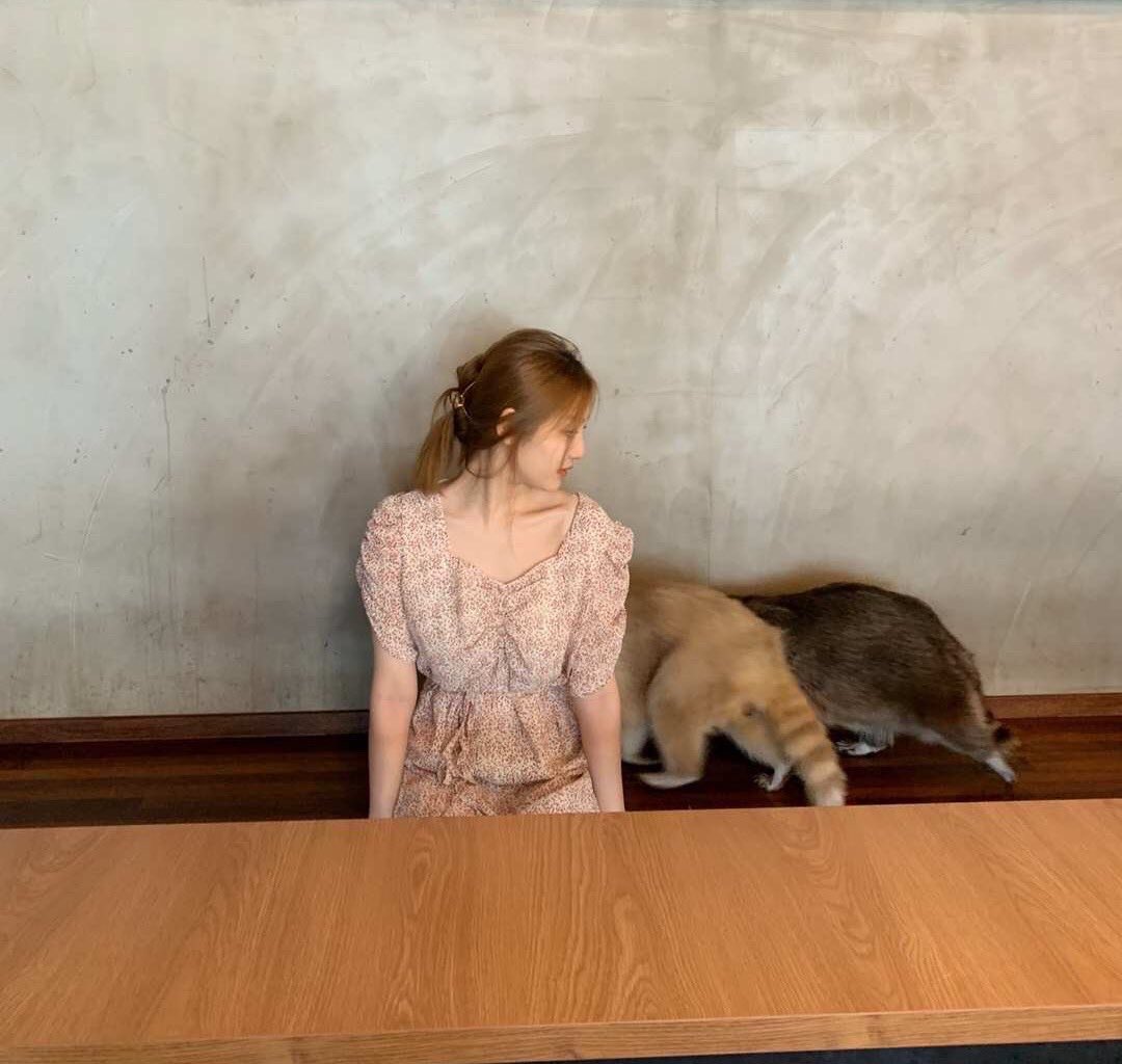 หนิงหนิงผมน้ำตาล โอ้ยลุคนี้คือดือมาก สวยขนาดนี้ตั้งแต่ยังไม่เดเลยนะ