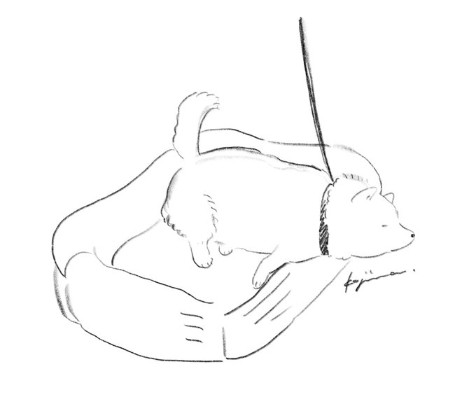 お犬様 