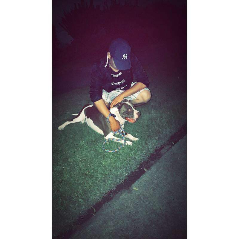 iFraga3's tweet photo. Ahora estas en un lugar mejor , fuiste el mejor perro que pude haber tenido , mi acompañante de vida , te amo y te amare por siempre. https://t.co/o8rpEiyocX