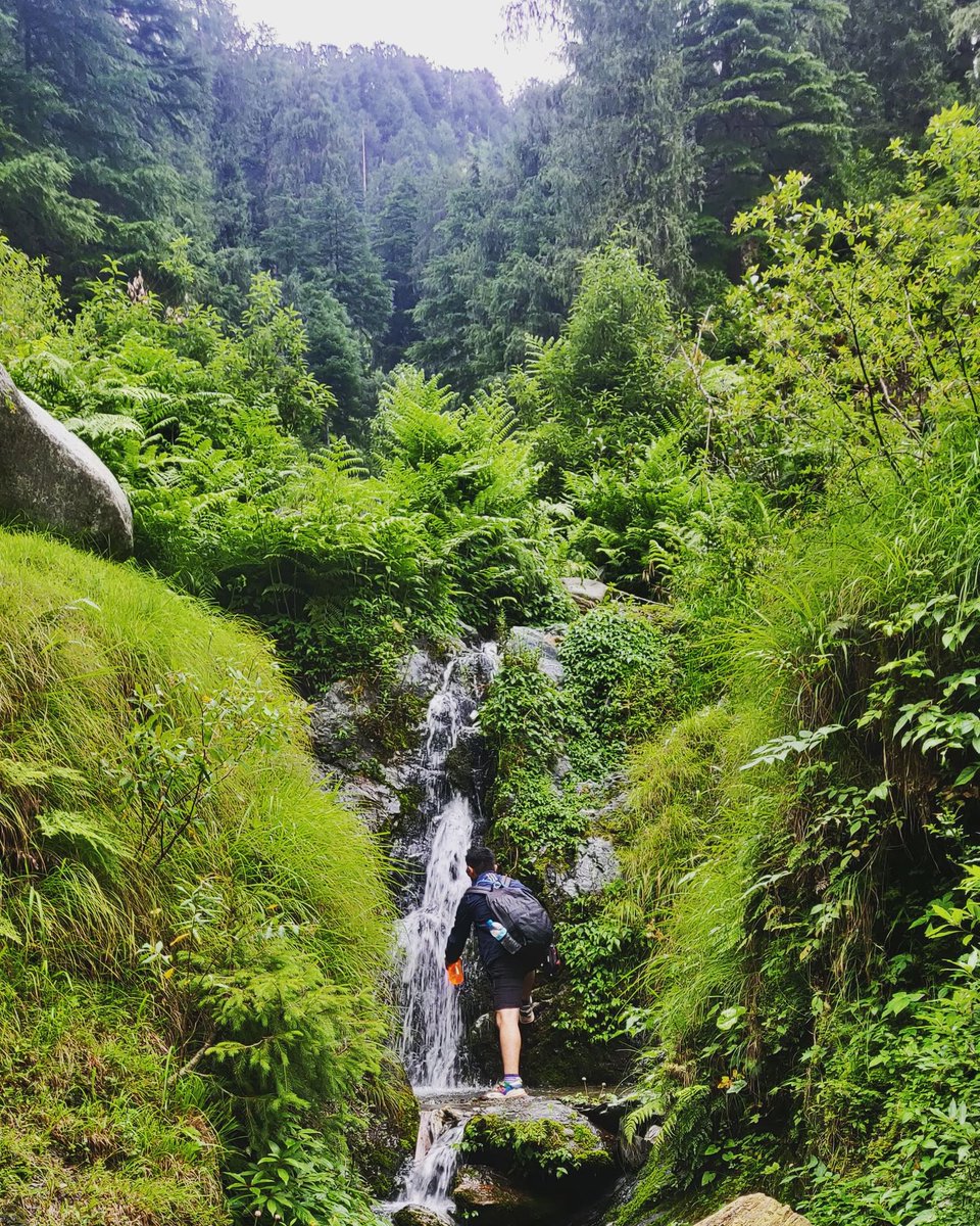 factual_dogra2's tweet photo. Recharging my hydration on the way to Chochru gala !
Trek to Chochru Gala.
#kindli #machedi #billawar #waterfallsofinstagram #waterfallphotography
#jammu #kashmir #waterfall #jammutourism #billawar #badnotawaterfall #mountains #views #peace #smile #enjoy #feel #live #love https://t.co/4cc56HcUp7