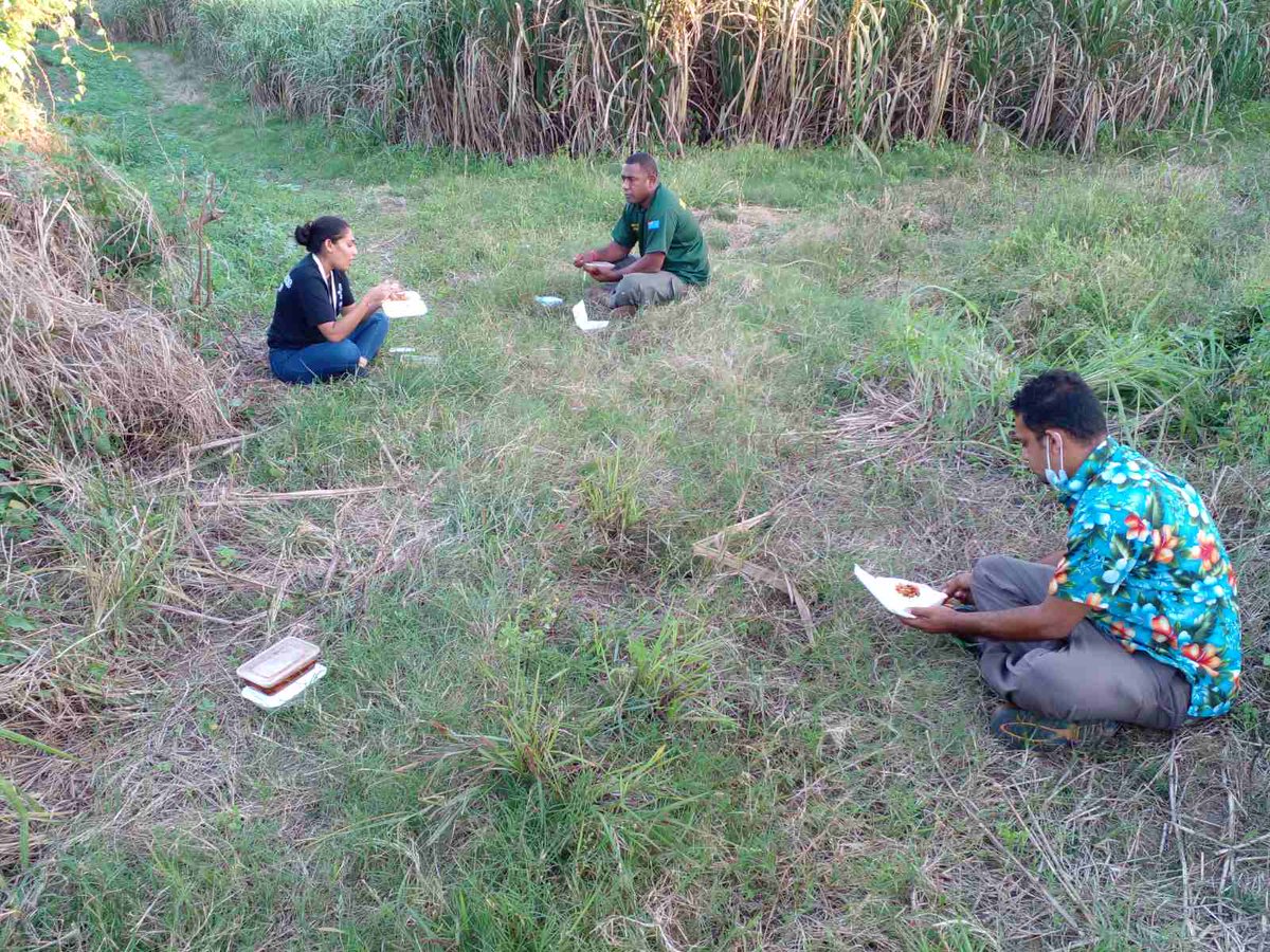 shysai23's tweet photo. Wanted to share this photo of the day! Some of colleagues of mine ( MOH, RFMF & Driver- Rosie Tours) finally taking a break to have their lunch in one the canefields in Nawaka. Tired & Battered but still Keeping the Faith.✌
#TeamNadi #SupportFrontliners
#TogetherWeCan #TeamFiji https://t.co/xVgCiZ6Fz1