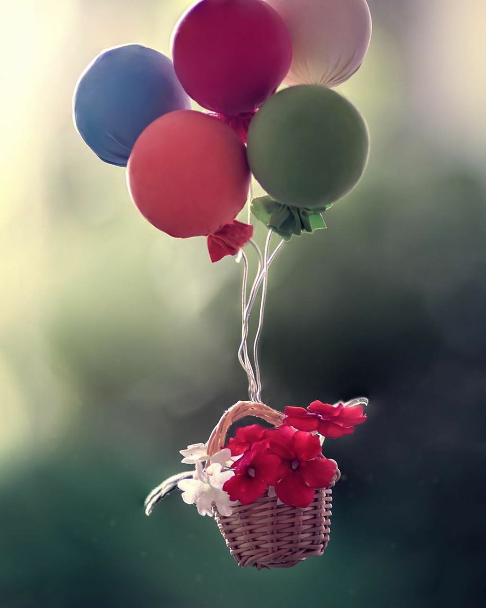 Fadia50281537's tweet photo. لو فكرت في أغلى الاشياء بحياتك ستجدها الأشياء التي لا يمكن للمال أن يشتريها
#صباح_الخير 
#انا_وانت 💜🌸🦋🎈 https://t.co/f3T8R0Rkbn