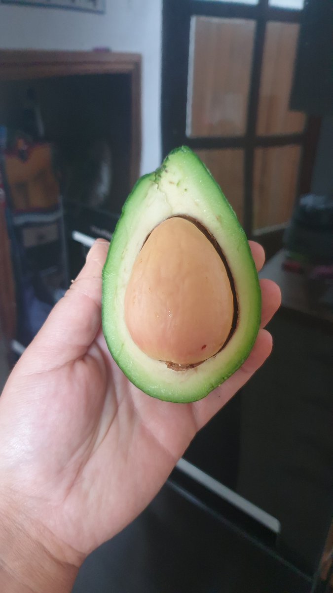 CodeRedCreates's tweet image. Good morning. This is how my day is starting.