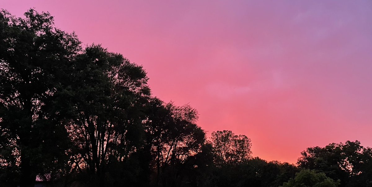 Sara Cornett (@mrssaracornett) on Twitter photo Amazing sunset in Springfield Missouri. Fun times with family <a href="/KirkElementary/">Kirk Elementary</a> #kirkroar2021 Amazing sunset in Springfield Missouri. Fun times with family <a href="/KirkElementary/">Kirk Elementary</a> #kirkroar2021