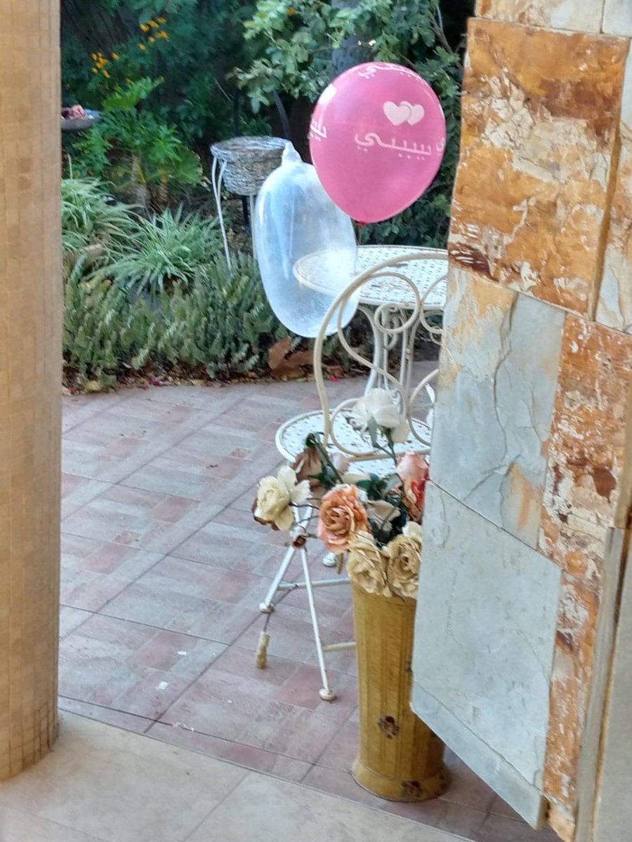 almog boker tweet media