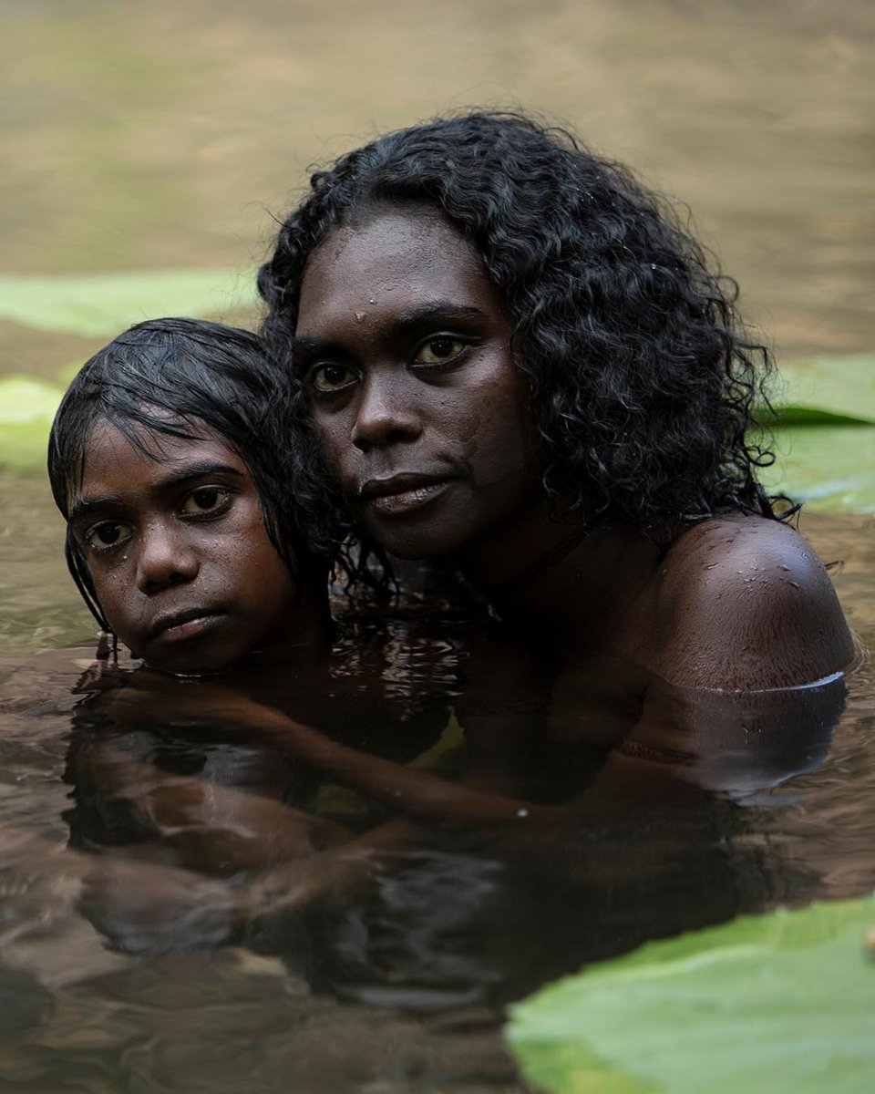 FanForceFilms's tweet photo. "A gripping, visually spectacular revenge thriller that makes superb use of stunning landscapes while also addressing the lingering scars of colonial-era racism." (Hollywood Reporter) 

DEMAND a screening of High Ground at your local cinema! Link in bio for more. 

#Indigenous https://t.co/SsdbLe0Vka
