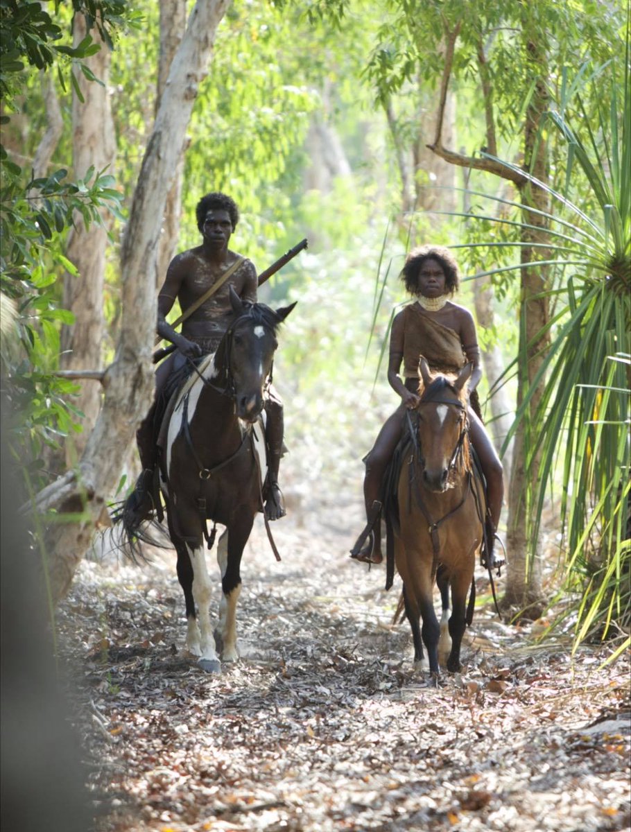 FanForceFilms's tweet photo. "A gripping, visually spectacular revenge thriller that makes superb use of stunning landscapes while also addressing the lingering scars of colonial-era racism." (Hollywood Reporter) 

DEMAND a screening of High Ground at your local cinema! Link in bio for more. 

#Indigenous https://t.co/SsdbLe0Vka