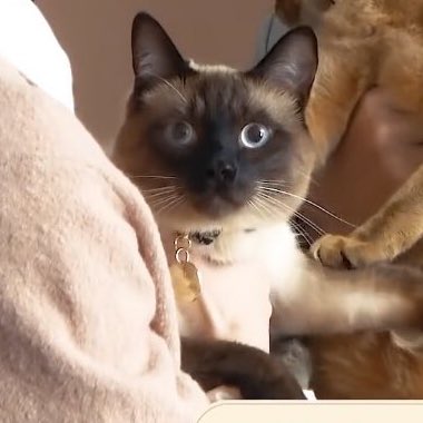 บรีฟว่าไรคับ เข้มทั้งคลิป 555555