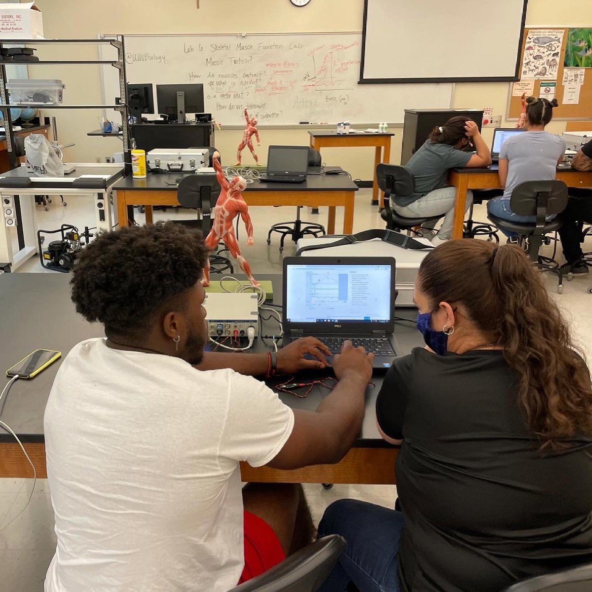 bmfphd's tweet photo. Fun with my Anatomy and Physiology I Lab students learning about skeletal muscle function. I love my job!! #uiwpride #uiwbiology #asstproflife #physiofun #adinstruments https://t.co/OnEb33VAFu