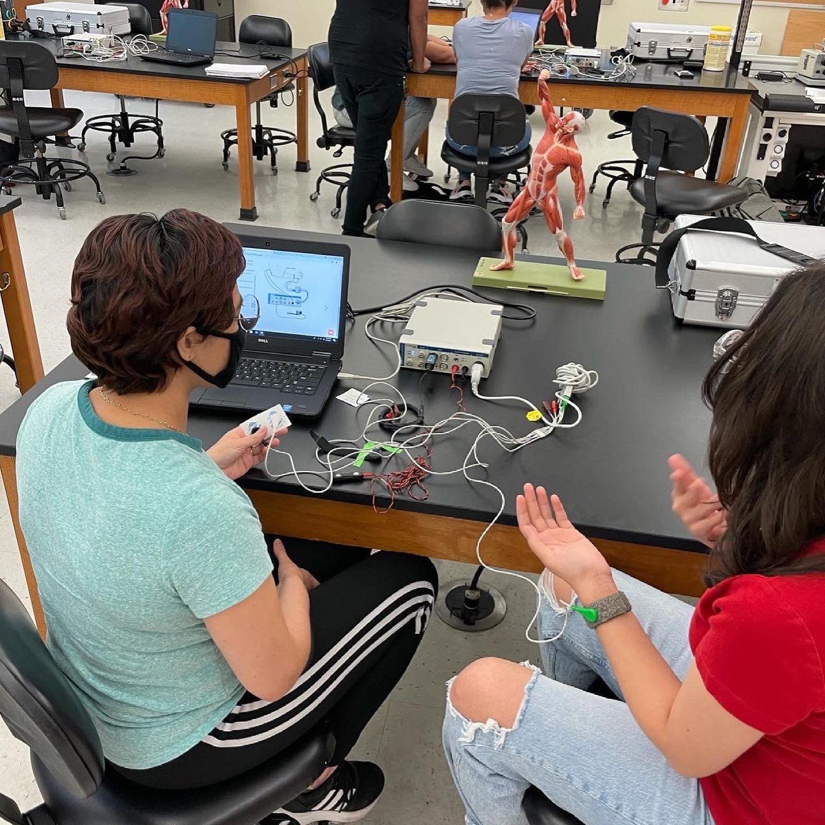 bmfphd's tweet photo. Fun with my Anatomy and Physiology I Lab students learning about skeletal muscle function. I love my job!! #uiwpride #uiwbiology #asstproflife #physiofun #adinstruments https://t.co/OnEb33VAFu