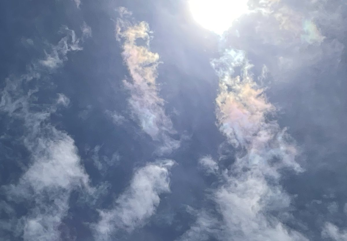 slowslowfood's tweet photo. 彩雲来た〜😹
(おかあさん、見れたかな?)
#イマソラ
#彩雲
#同じ空を見ている
#零密活動
#ご安全に😷💉🕶🙏
#StaySafeStayHealthyBeHappy😷
#ThinkScientifically https://t.co/YOSI9QWrDd