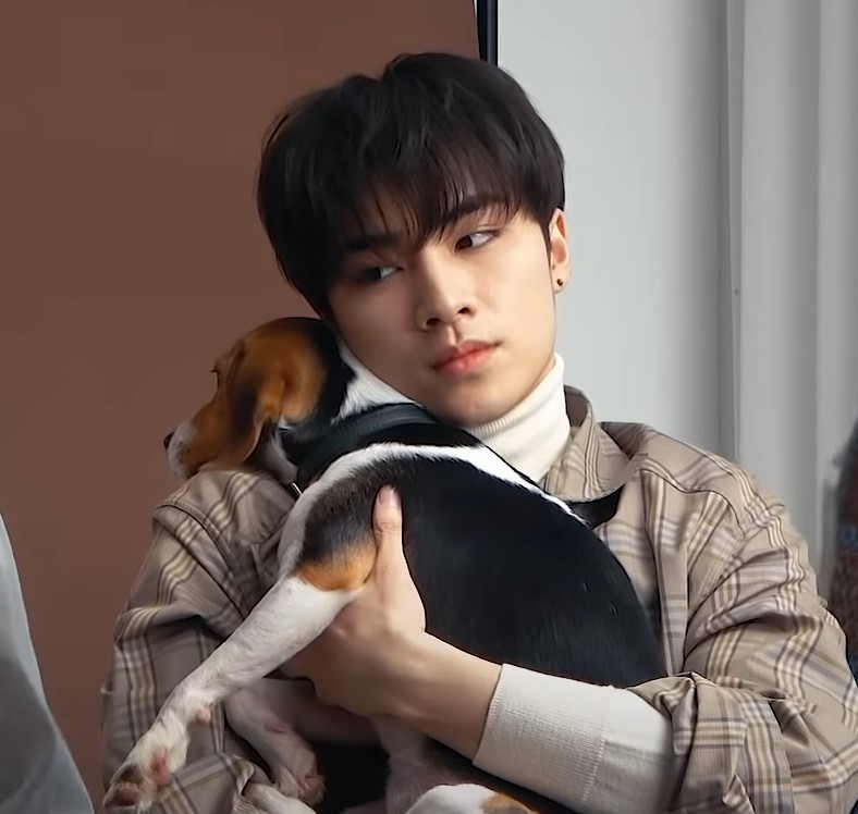 xiaojunpics's tweet photo. xiaojun's shoulder is the most comfy for bella https://t.co/cV6wHMuoBt