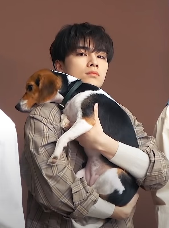 xiaojunpics's tweet photo. xiaojun's shoulder is the most comfy for bella https://t.co/cV6wHMuoBt