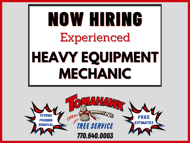 TomahawkTree's tweet image. We are hiring a Heavy Equipment Mechanic! Click this link to learn more about this opportunity &amp;amp; apply for this job: indeed.com/cmp/Tomahawk-T… #mechanic #heavyequipment #dieselmechanic #truckmechanic #roswelljobs #helpwanted #jobs #alpharetta #treeservicejobs #bobcat #skidsteer