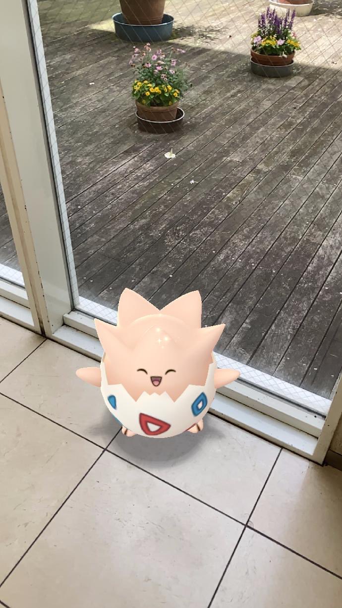 Nino にのまん Team 最近少々情緒不安定かw ワサラー団 Al Twitter 本日最初の一枚 相棒さん 最初の一枚にて報告 私のもとにも 夏のシキジカが来ました 少し出現範囲が 広がっている様ですね ポケモンgo シキジカ 夏のすが