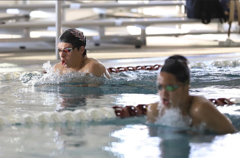 Linda Medley tweet media