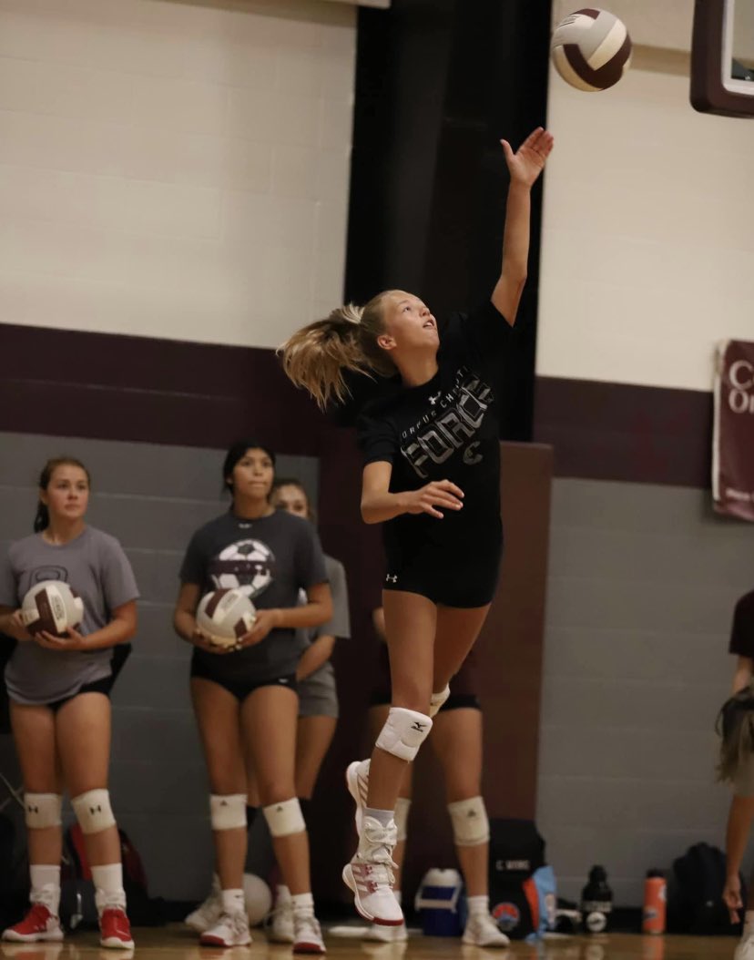 Linda Medley tweet media