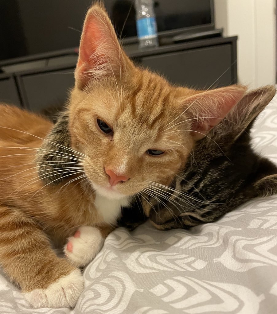 they’re in love <3