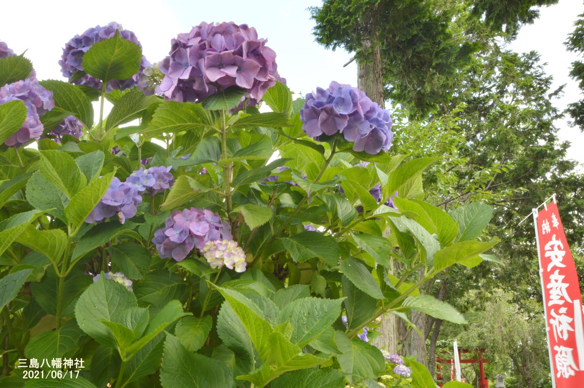 おはようございます 天気予報は曇りですが いわき駅周辺は青空が広がっています 陽が差すと暑いですね 熱中症対策をしてお出かけ 21 06 17 いわき市総合観光案内所 ぐるっといわき