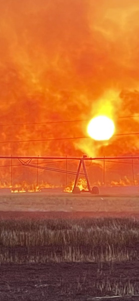 Neighbor burning a wheat field. Had to catch this sunset.