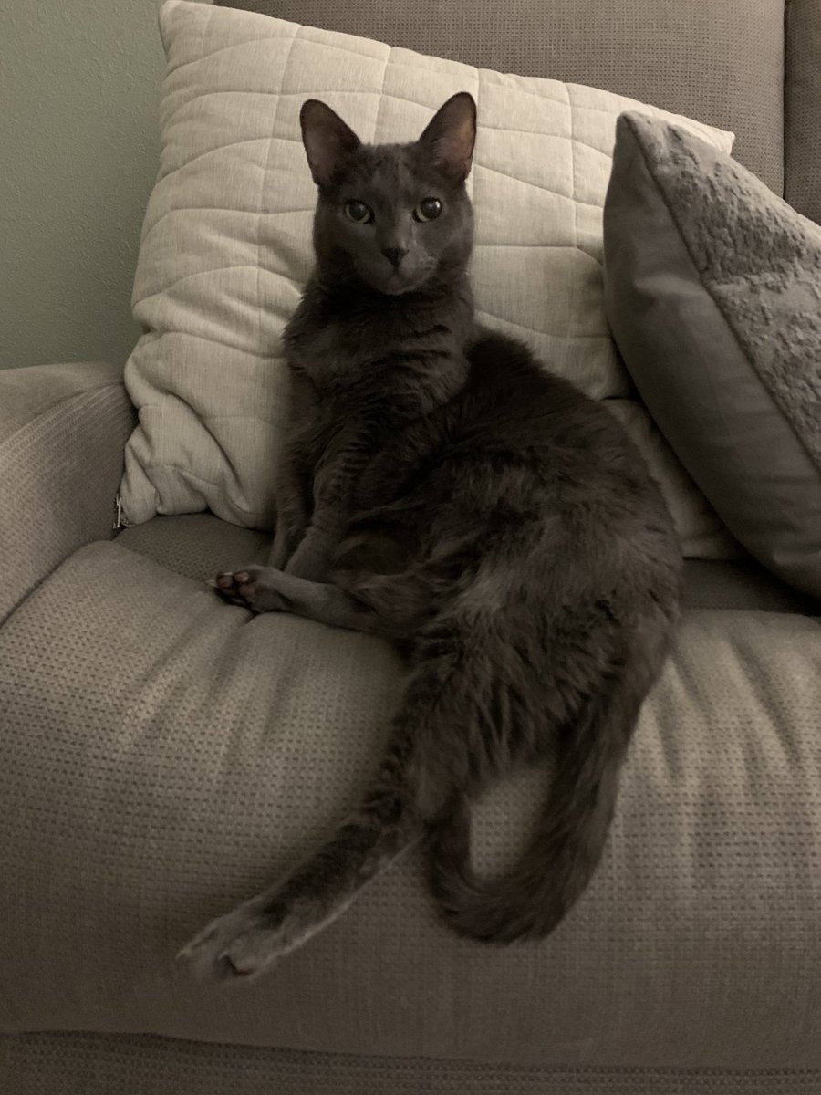 RIP Smokey.  She helped me thru some real hard times in my life.  She was truly 1 in 1,000,000.