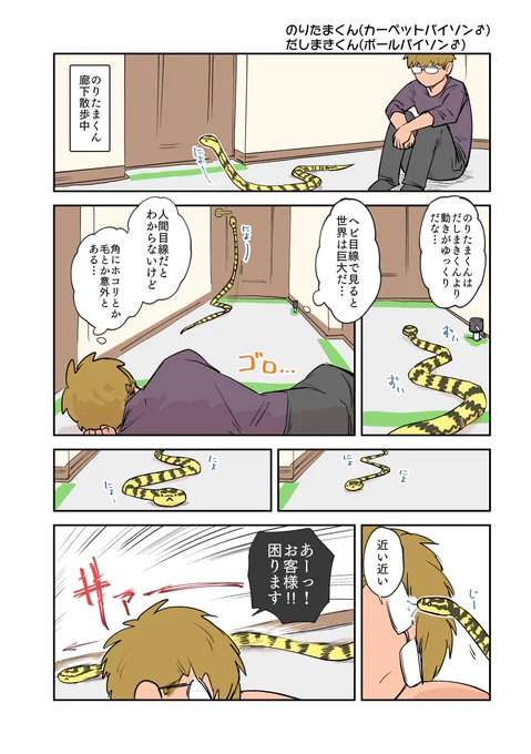 ヘビ目線 