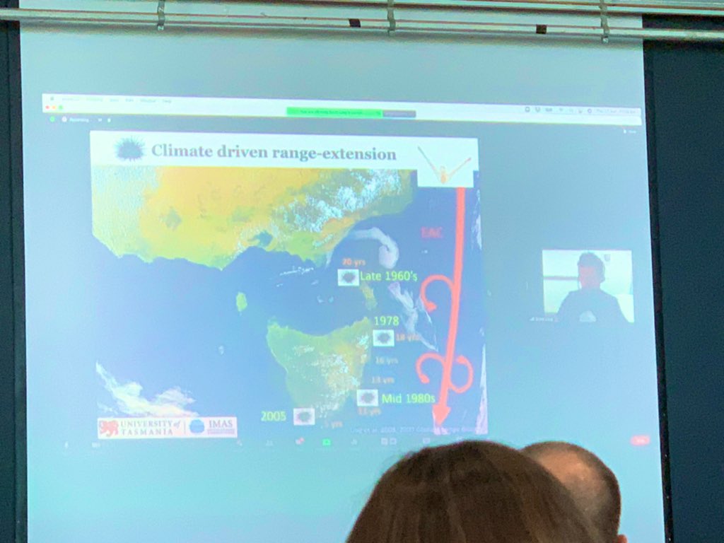 Climate change sees sea urchins from NSW living in Tassie pushing out 150 taxa. A Professional fishery emerges with subsidy now 3rd largest in Tassie @DeptAgNews @AusLandcare #marinenrm <a href="/OceanWatch_OZ/">OceanWatch Australia</a> <a href="/GretaThunberg/">Greta Thunberg</a>