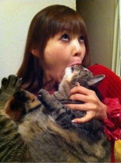 日本人が猫を食べるなんて聞いたこともない D トルコ 猫 Togetter