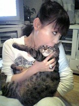 日本人が猫を食べるなんて聞いたこともない D トルコ 猫 Togetter