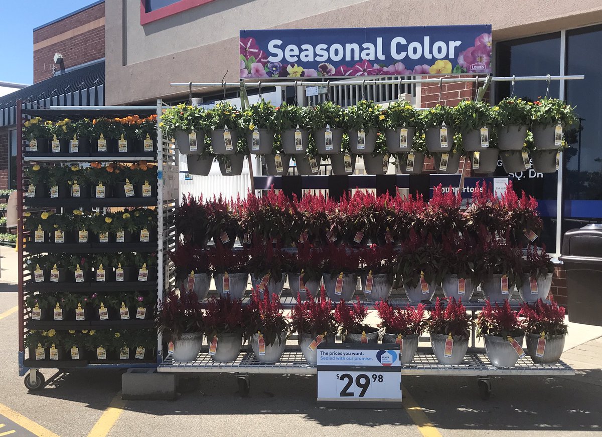 JeradClayton's tweet photo. Congratulations to @Lowes #181, Columbus OH on your Divisional contest win. Exciting day for a well deserving team!! @Jrmill840 @kplowery6b @MetrolinaGHS @BoltzBill @LBishPlants https://t.co/RX2J6fRXuy