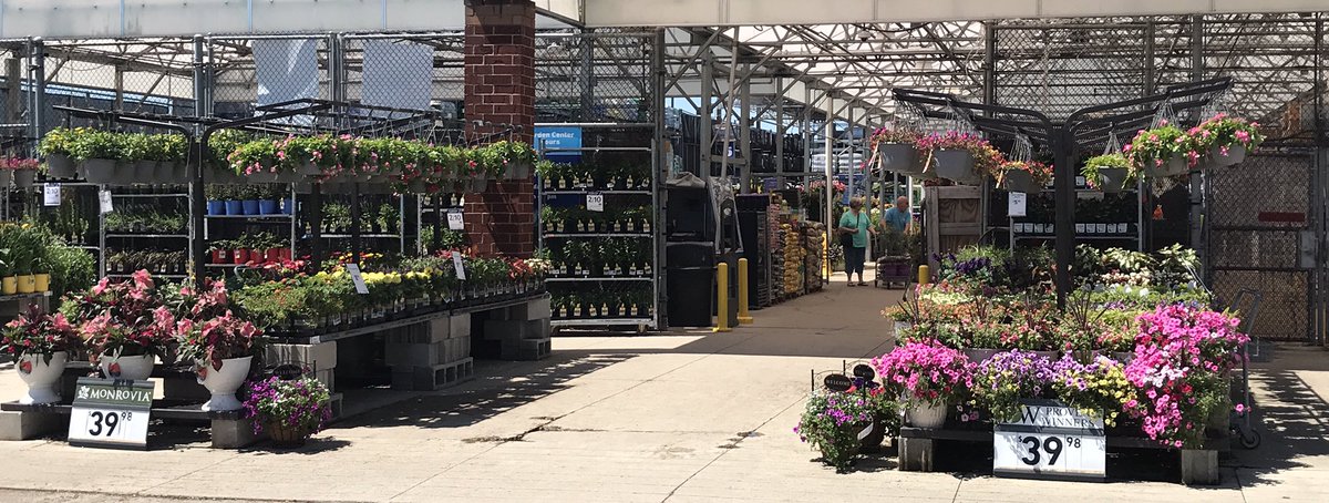 JeradClayton's tweet photo. Congratulations to @Lowes #181, Columbus OH on your Divisional contest win. Exciting day for a well deserving team!! @Jrmill840 @kplowery6b @MetrolinaGHS @BoltzBill @LBishPlants https://t.co/RX2J6fRXuy
