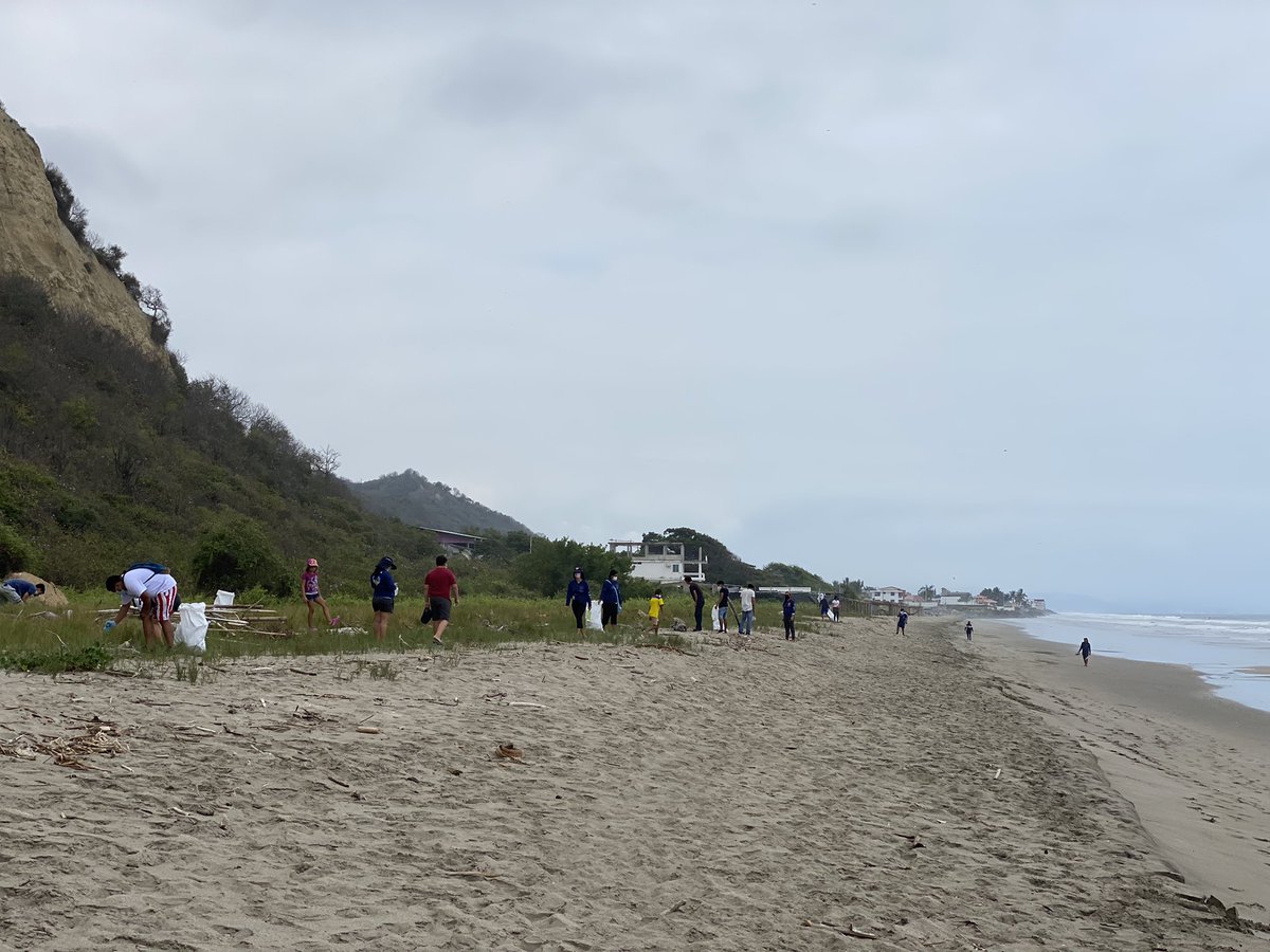 orgjopec's tweet photo. 16 de Junio día mundial de las tortugas marinas.
Participamos de una actividad en conmemoración a esta fecha, que consistió en una charla acerca de las tortugas marinas y la #tortuminga para que la playa esté lista de cara a la próxima temporada de anidación 🐢 https://t.co/68CesjOP2f
