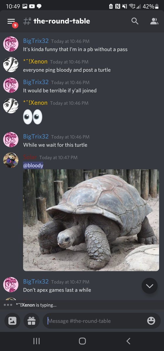 SolarSpinner's tweet photo. Mf suggested to quad and still hasn't joined 🗿 NA's finest https://t.co/zupbHwnhb5