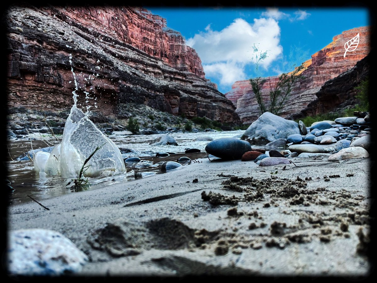 CourthneyJr's tweet image. R&amp;amp;R Vision 

#iphone12promax #elevatevoices #culturalcreator