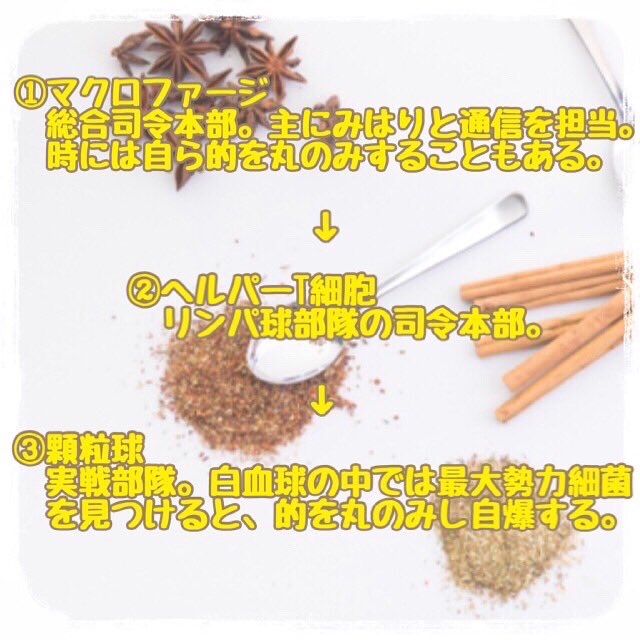 world_vivid's tweet photo. 🍀チャーガコラム🍀
【カラダの免疫システム】
チャーガを飲んで毎日健康な身体で楽しく過ごしましょう🌟
ご興味がある方是非DMにてお問い合わせ下さい🌸
#チャーガ
#チャーガ茶
#美容
#健康 https://t.co/CyR1MLNx3P