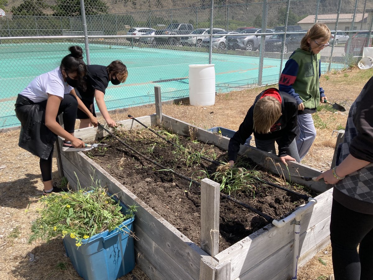 Thanks to <a href="/jennyma24054133/">jenny martin</a> for working with various groups of students all day to support our school garden! #SESSProud #SD53 @HeatherRose53 <a href="/TomEccleston/">Tom Eccleston</a>